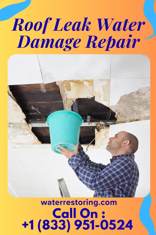 Roof Leak Water Damage Repair in White Oak, MS