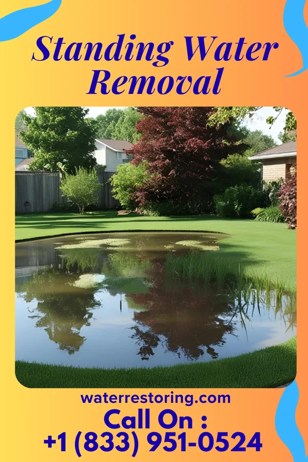 Standing Water Removal in White Oak, MS